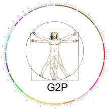 Gene2Phenotype
